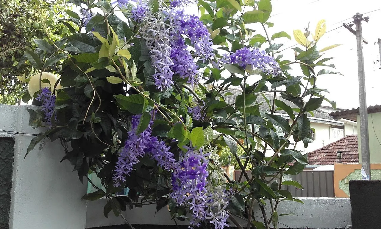 Number 01 By Taprobane Apartman Negombo Homestay szállás